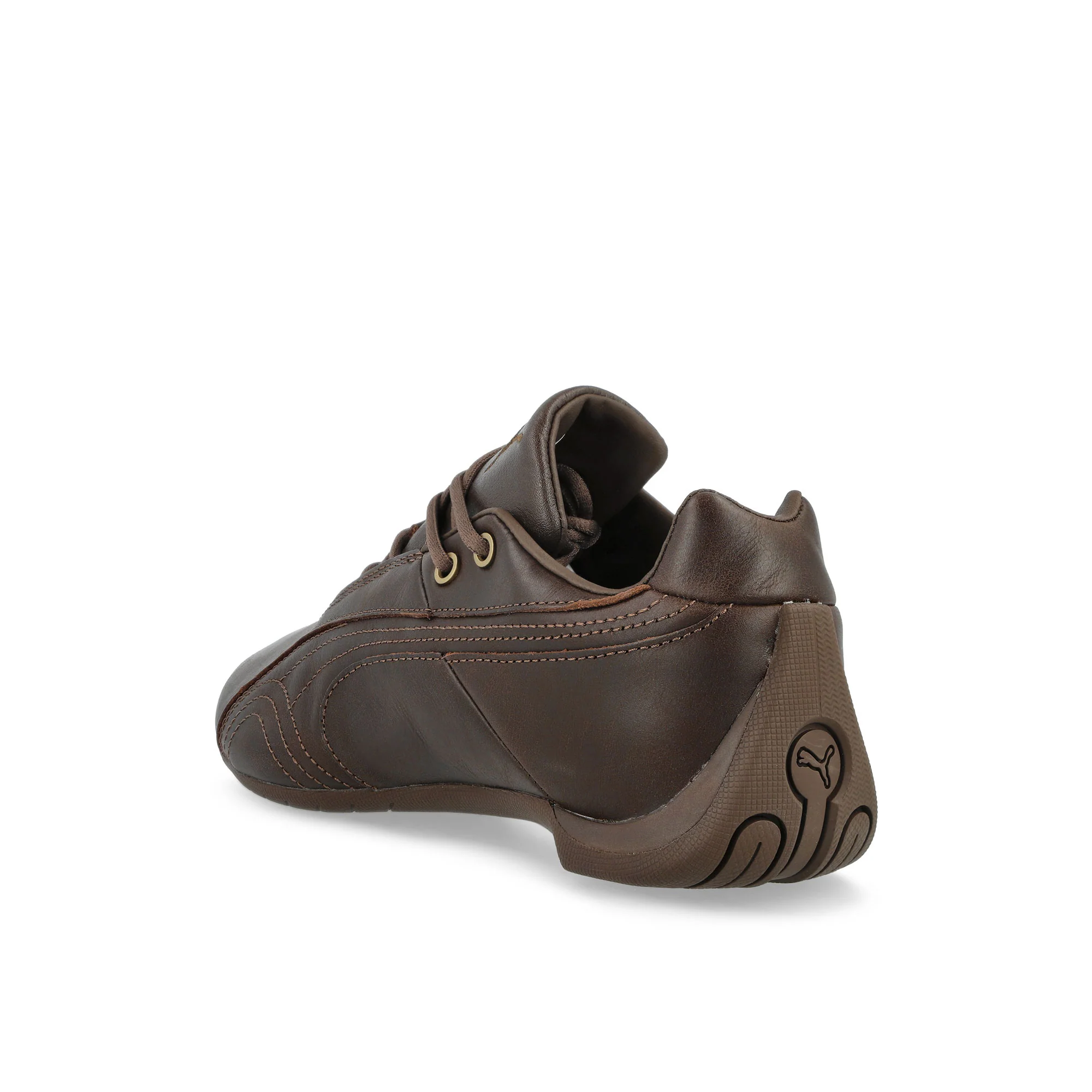 Future Cat Studs - Image 3