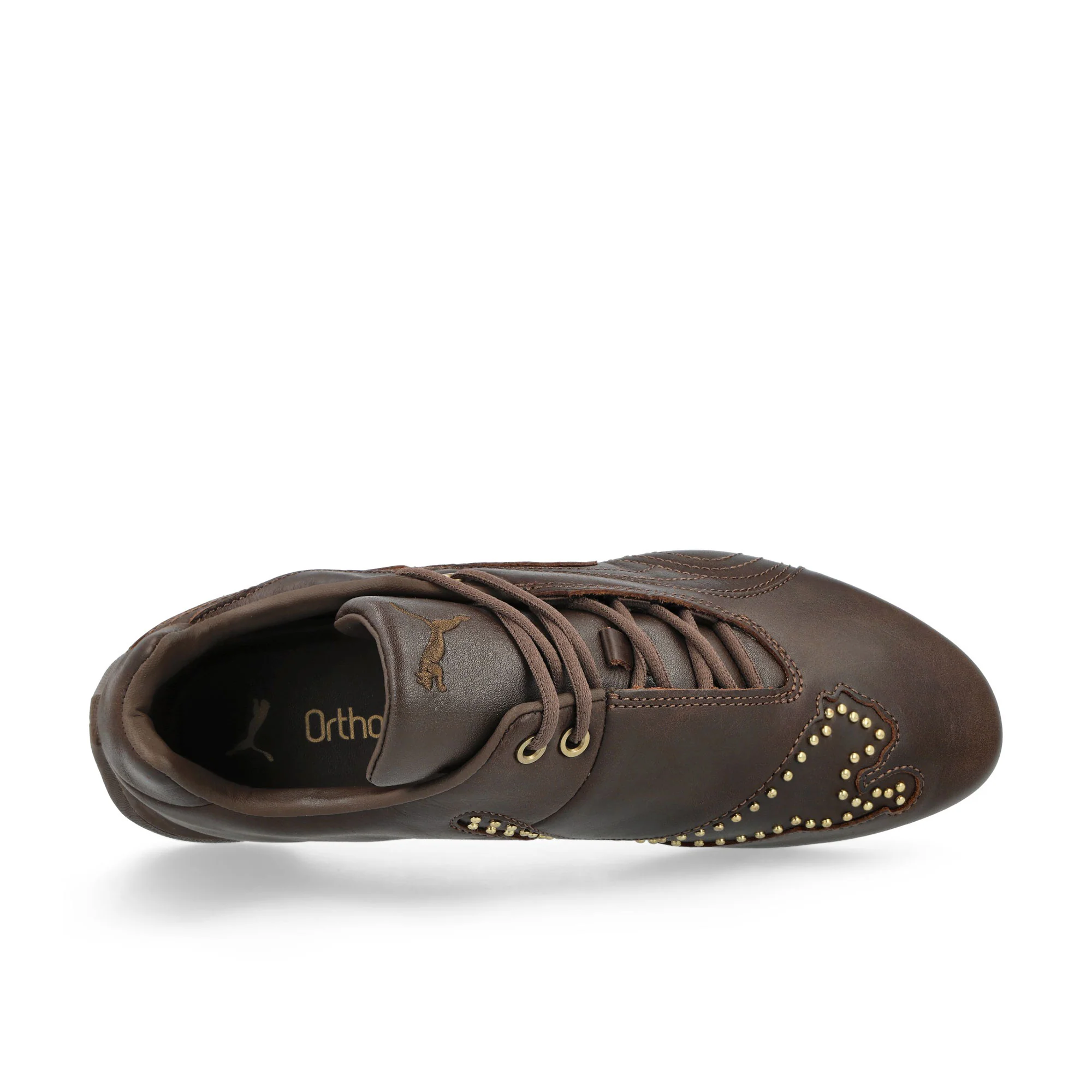 Future Cat Studs - Image 5