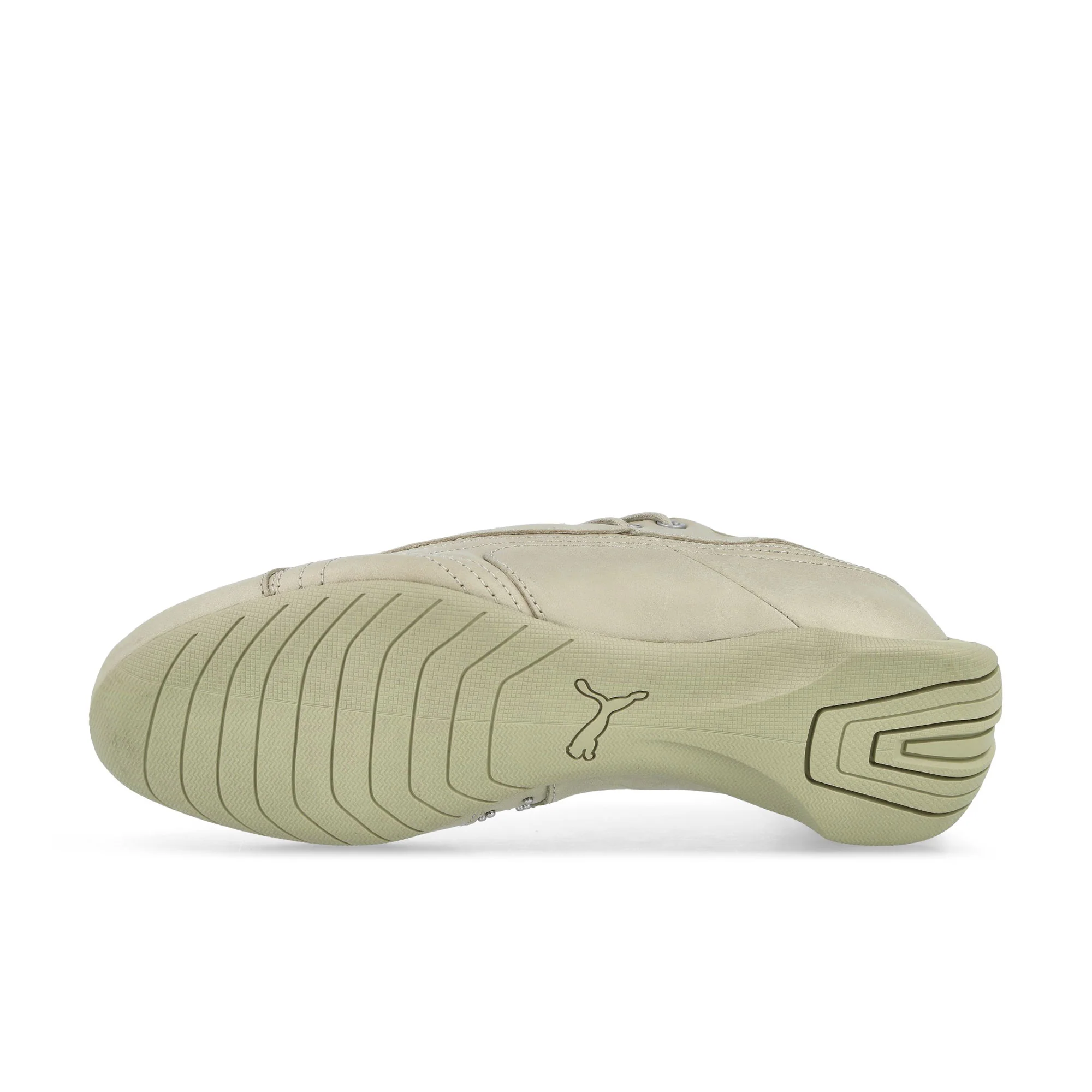 Future Cat Studs - Image 6