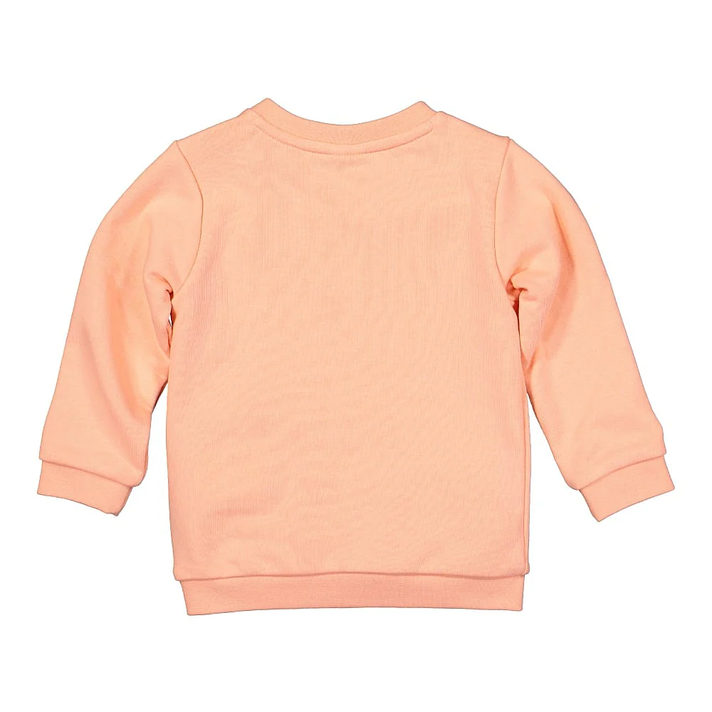 Minicats Crew Jogger - Image 3