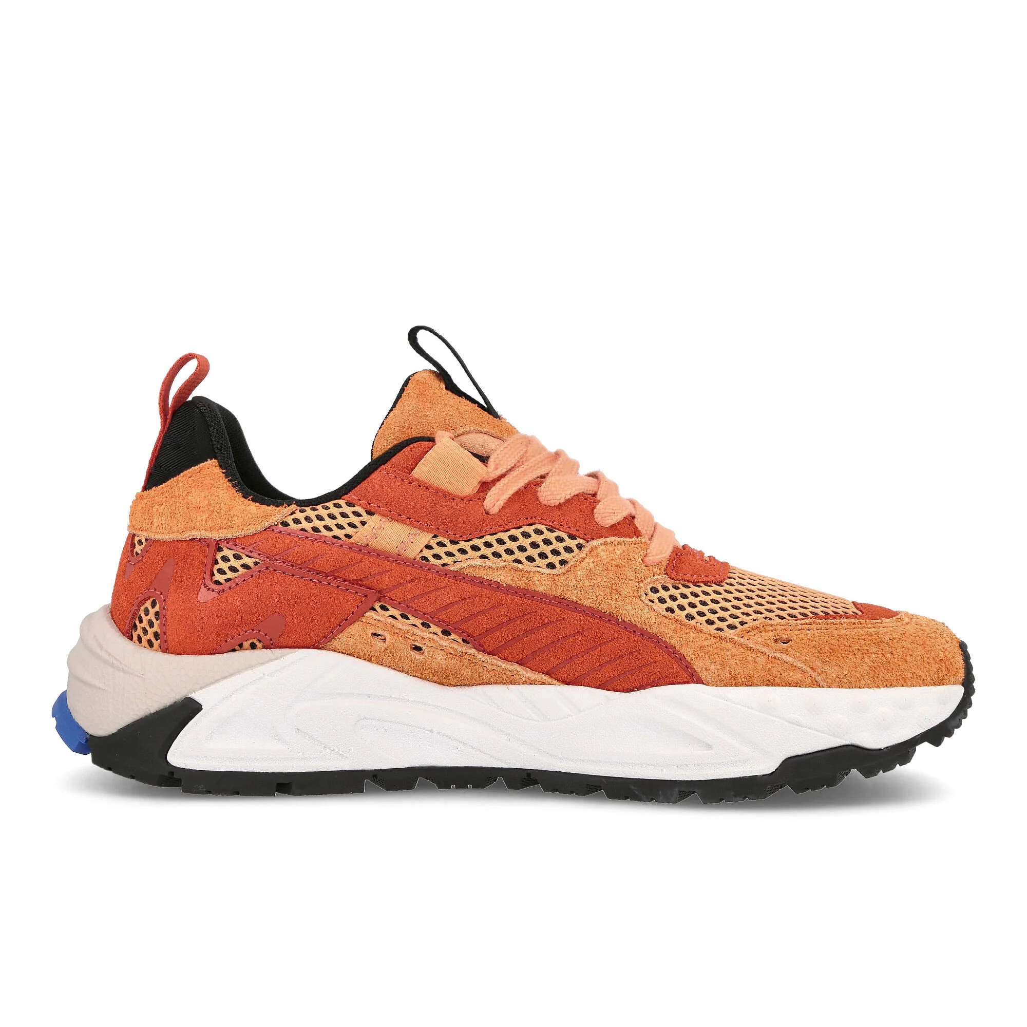 RS-Trck Horizon - Image 2