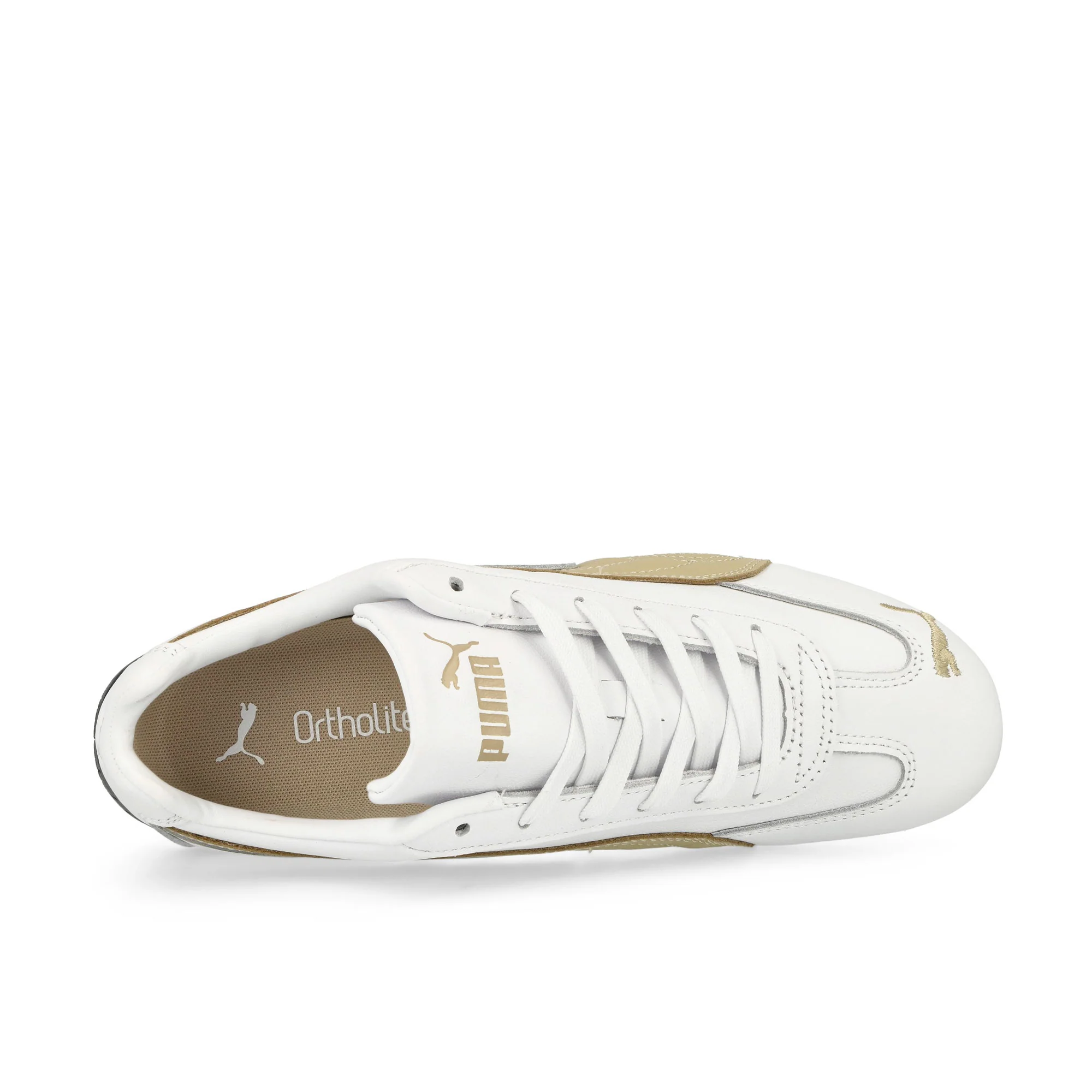 Speedcat LTH - Image 6