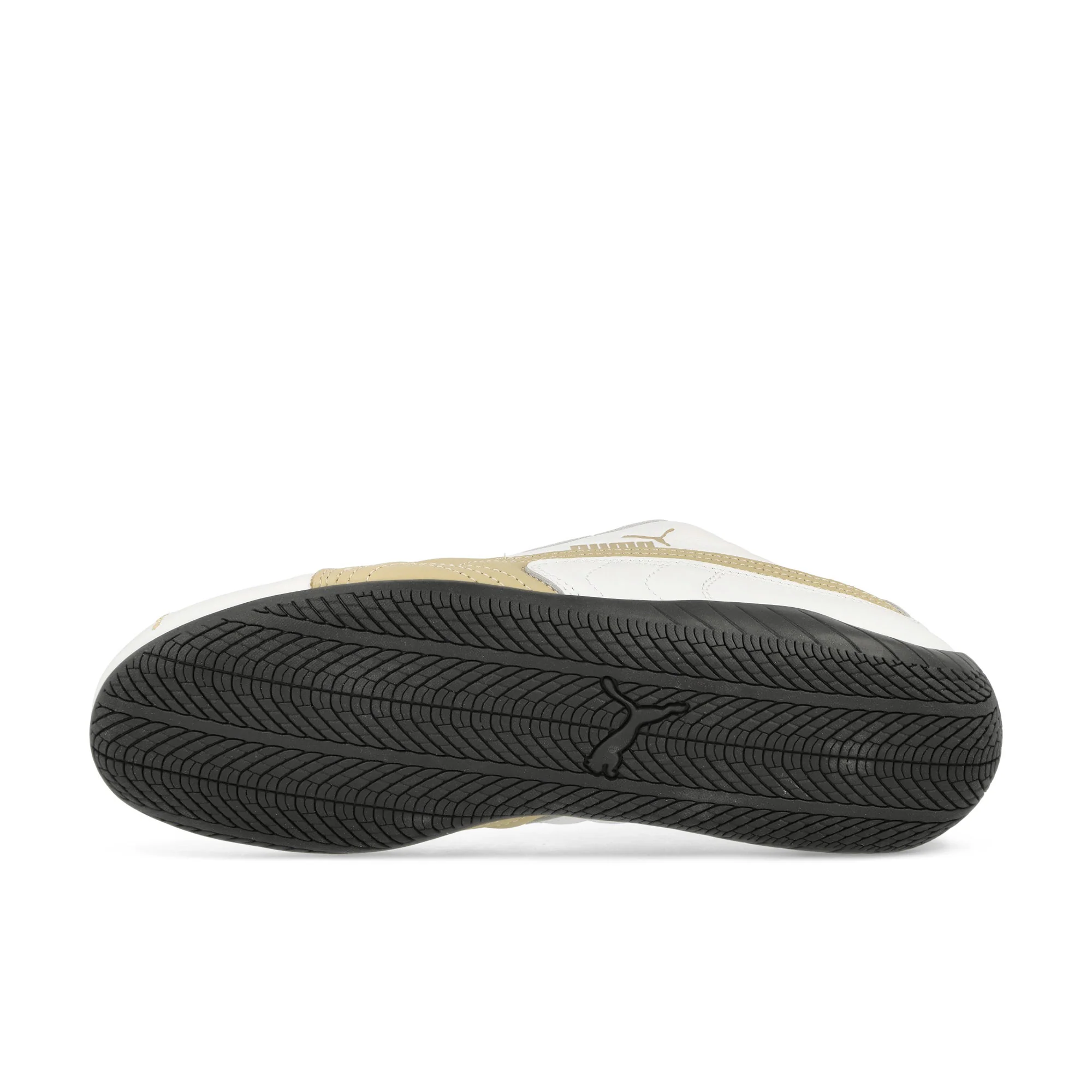 Speedcat LTH - Image 7