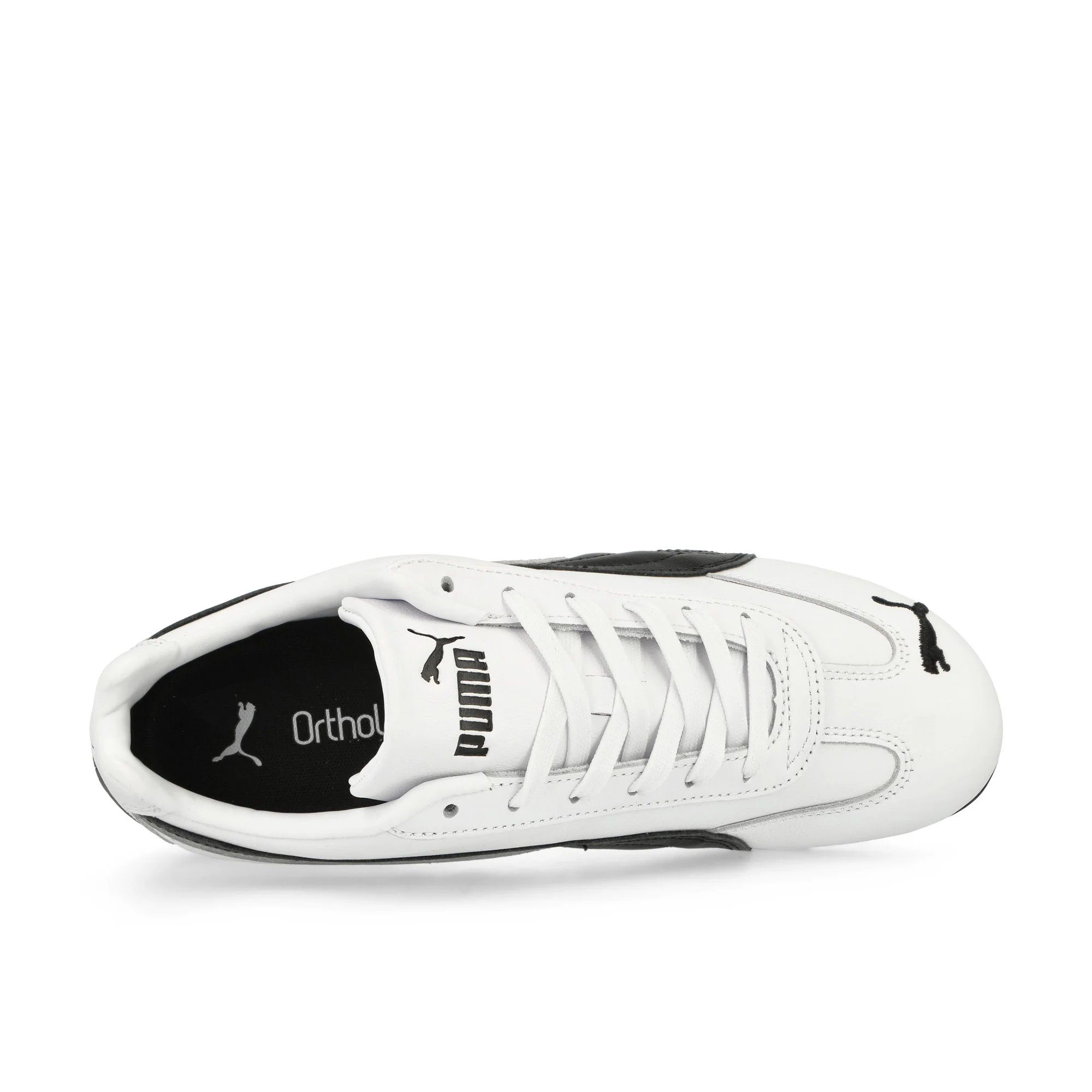 Speedcat LTH - Image 6