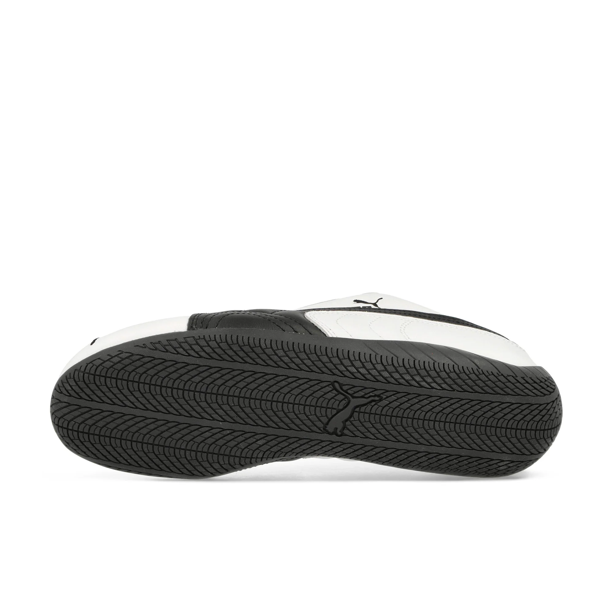 Speedcat LTH - Image 7