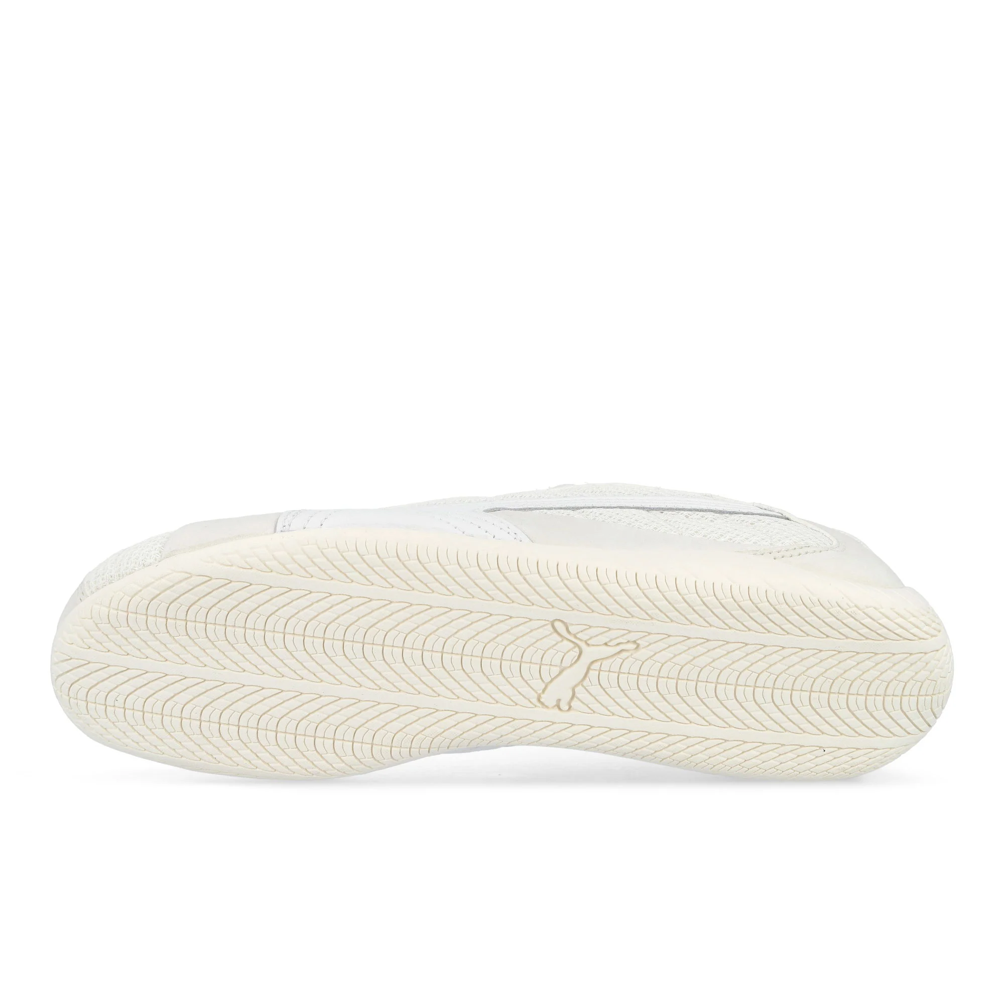 Speedcat Plus - Image 6
