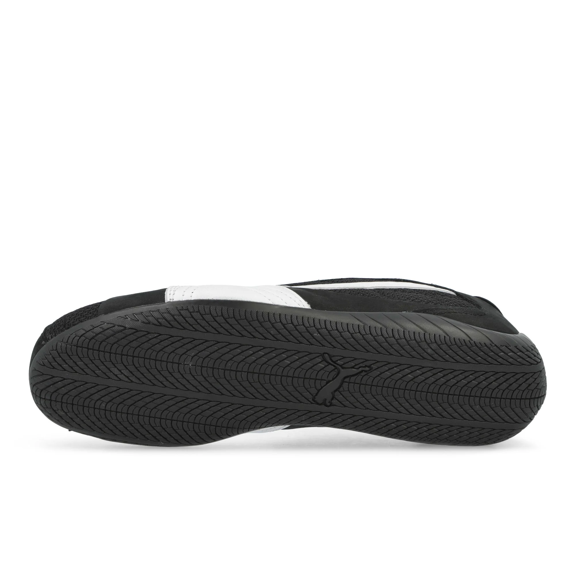 Speedcat Plus - Image 6