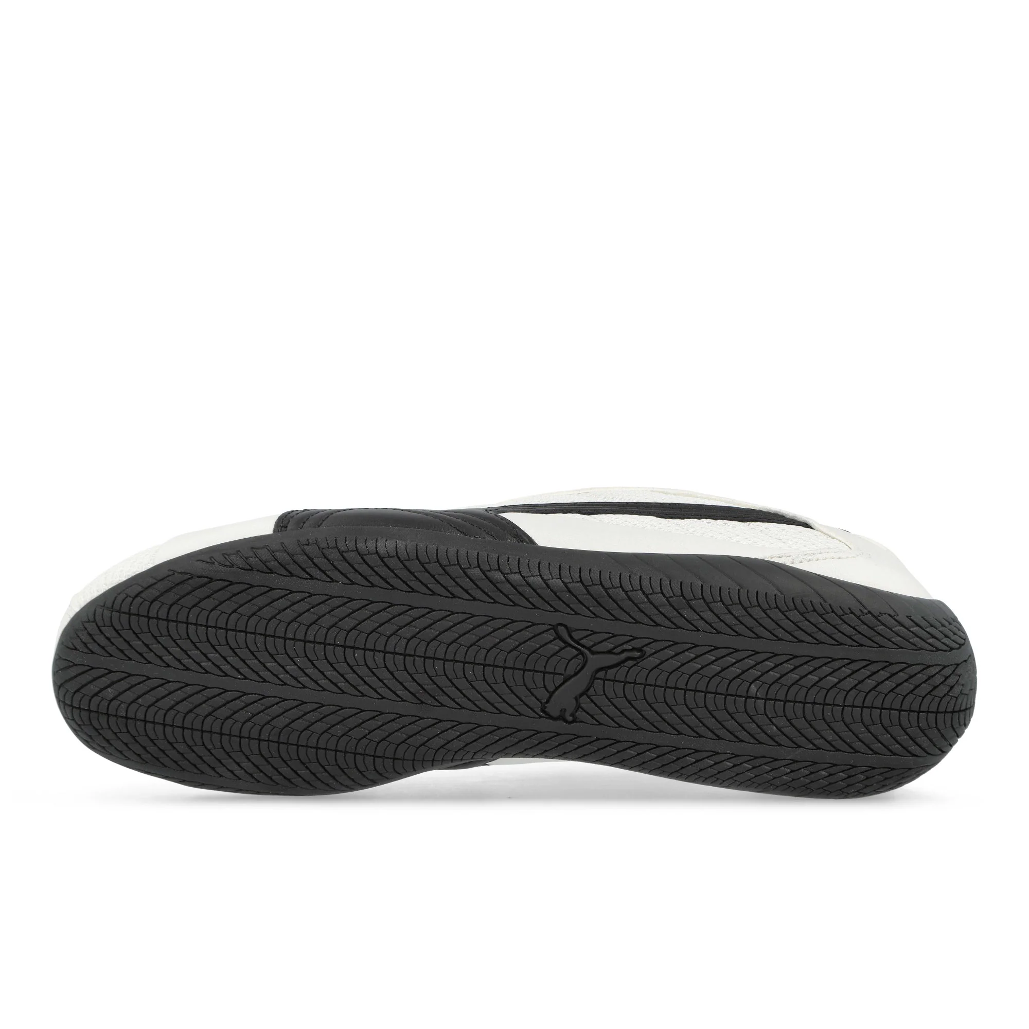 Speedcat Plus - Image 6