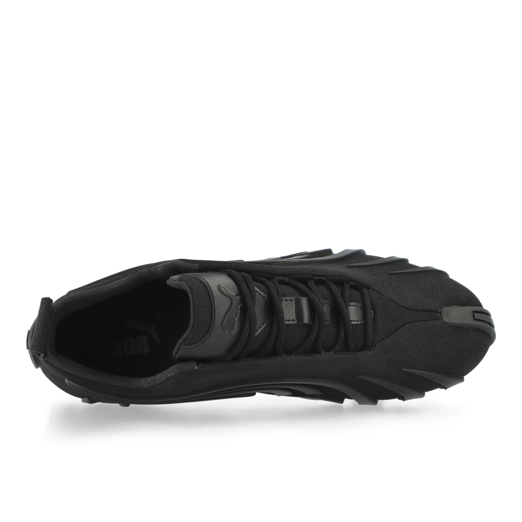 Talon WTR - Image 5