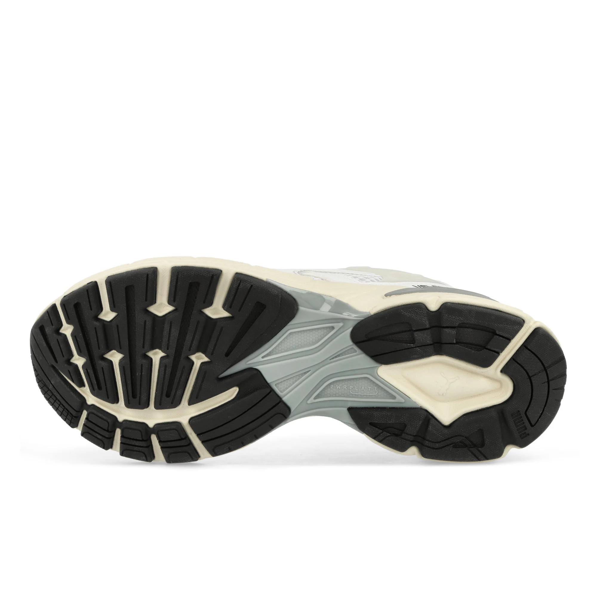Velophasis - Image 6