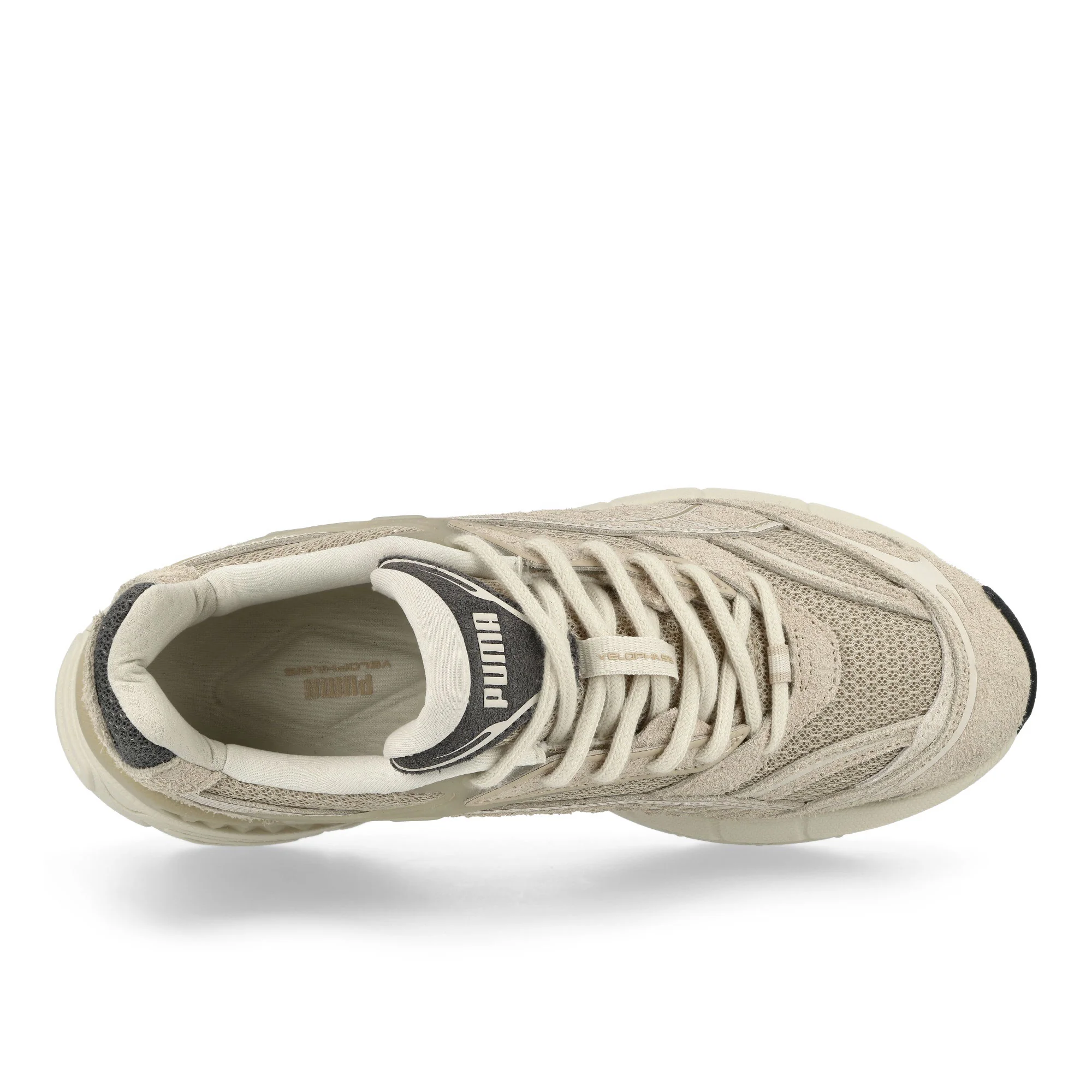 Velophasis SD - Image 5