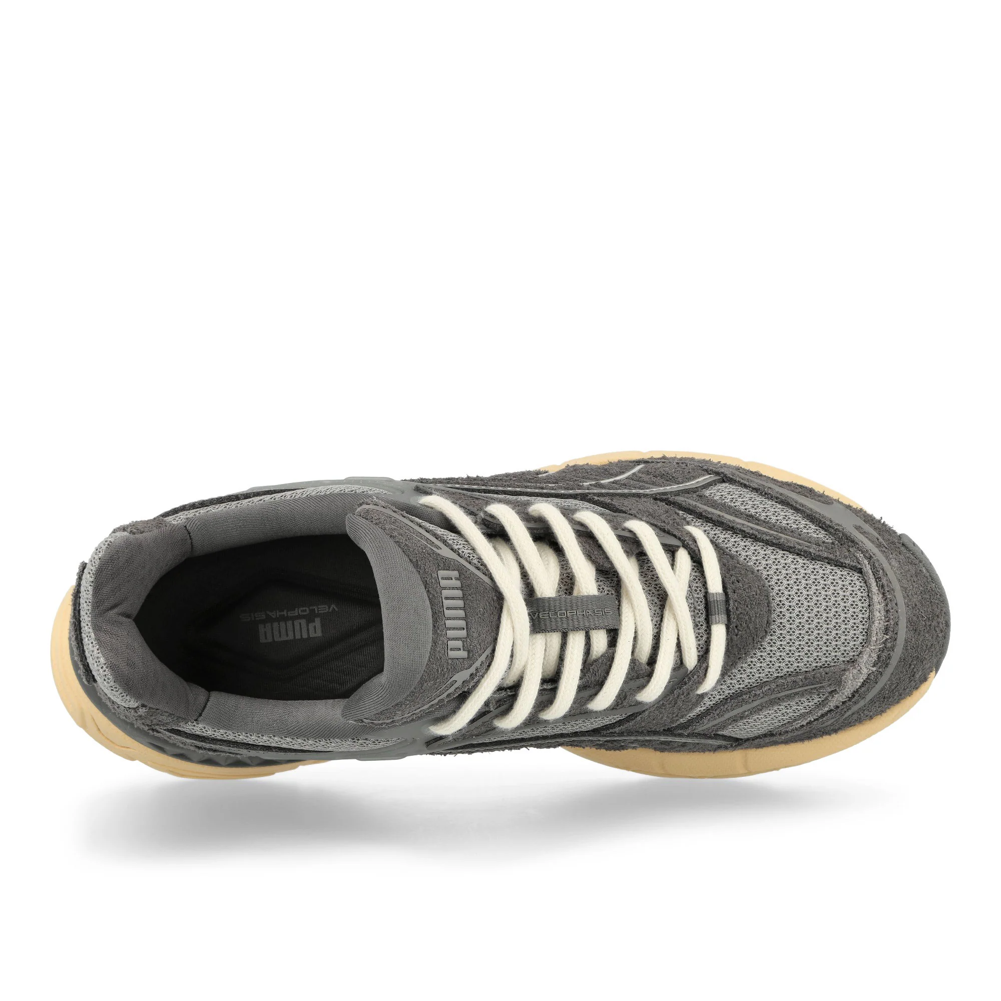 Velophasis SD - Image 5