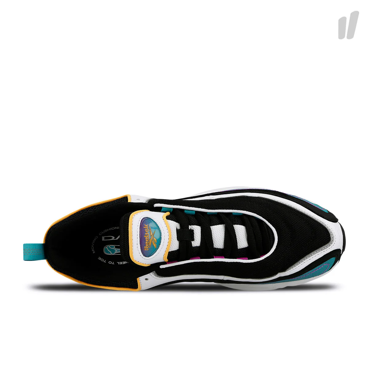 daytona dmx mu - Image 5