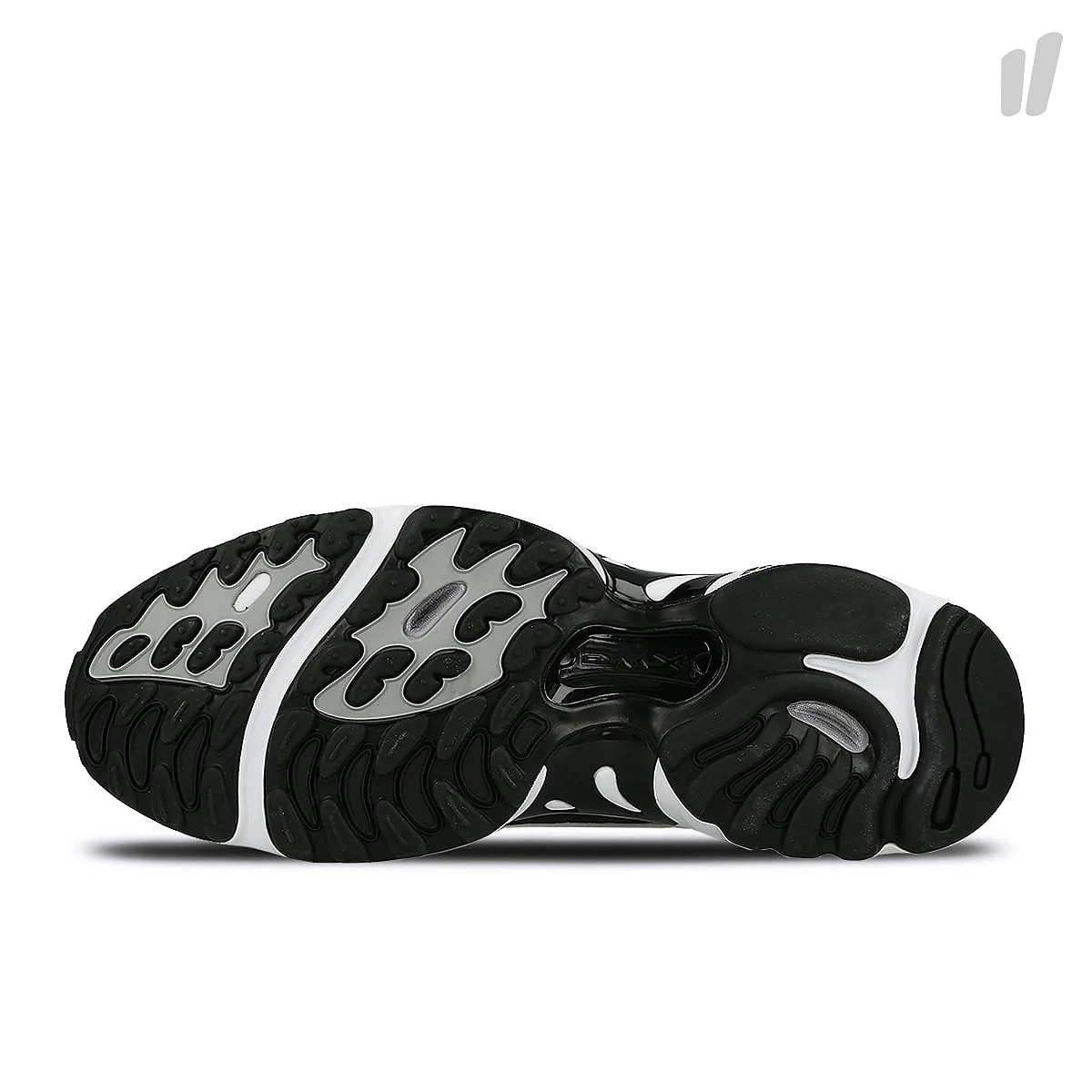 daytona dmx - Image 6