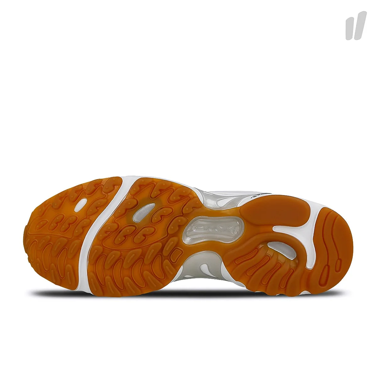 daytona dmx - Image 6