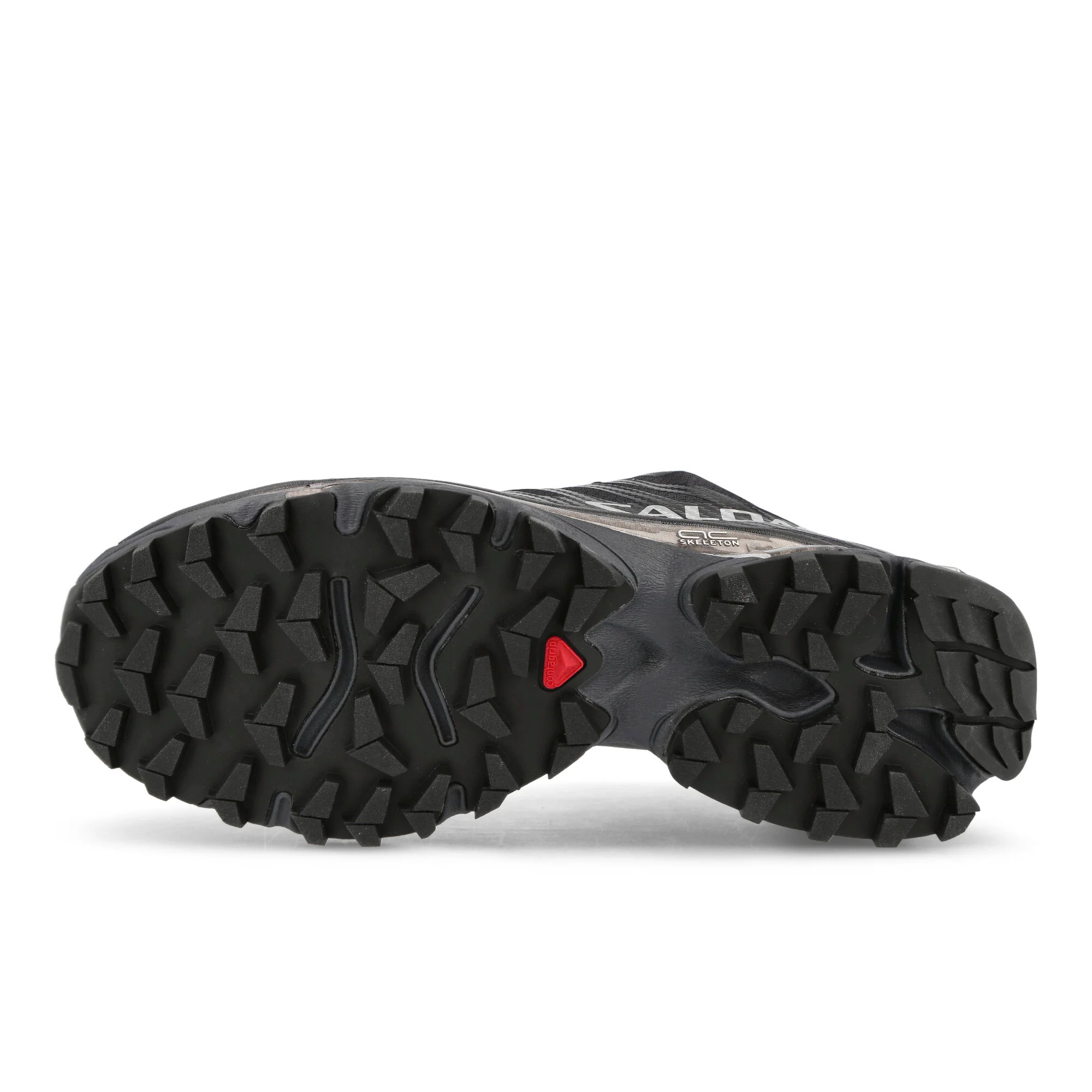 XT-4 OG - Image 6