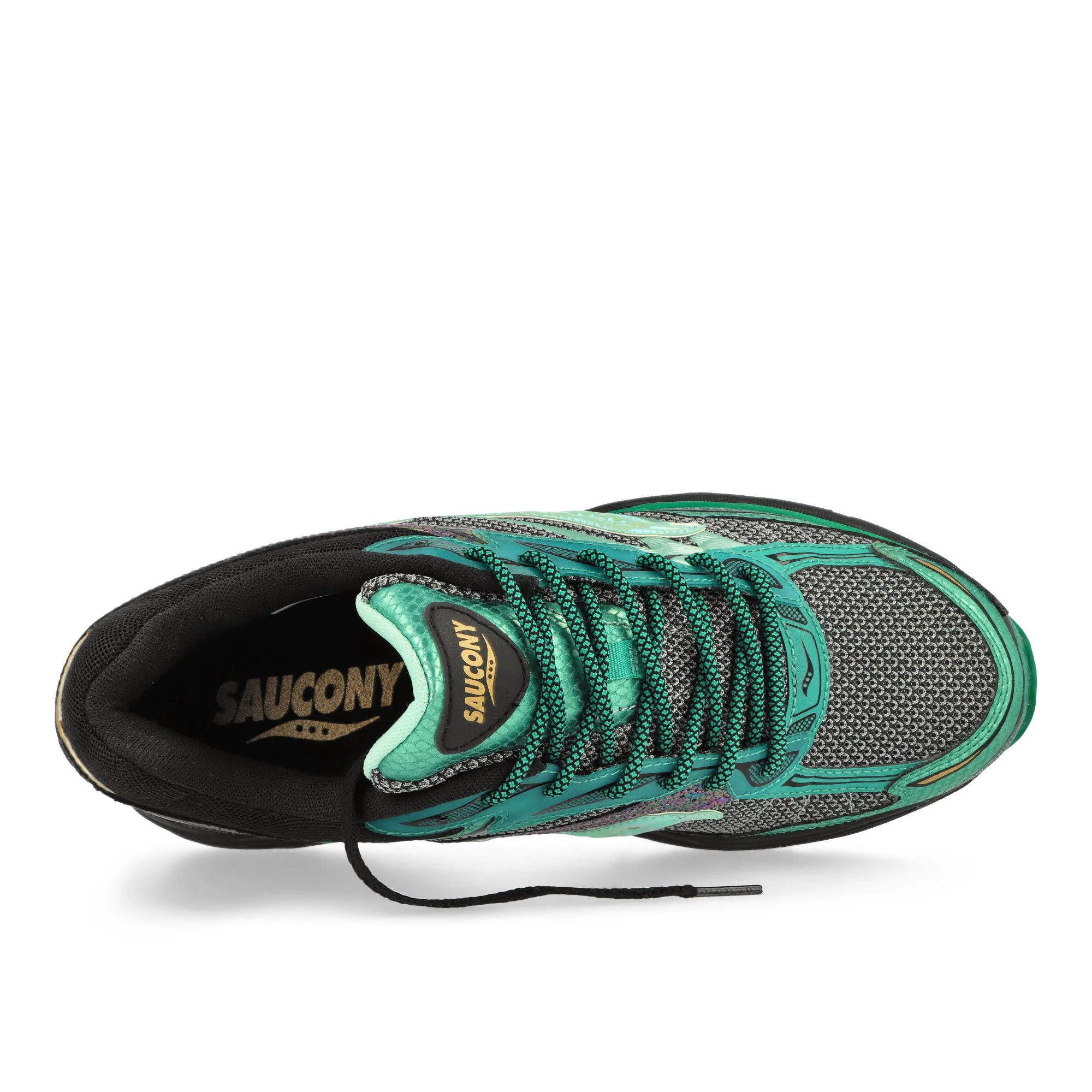 Progrid Omni 9 - Image 5