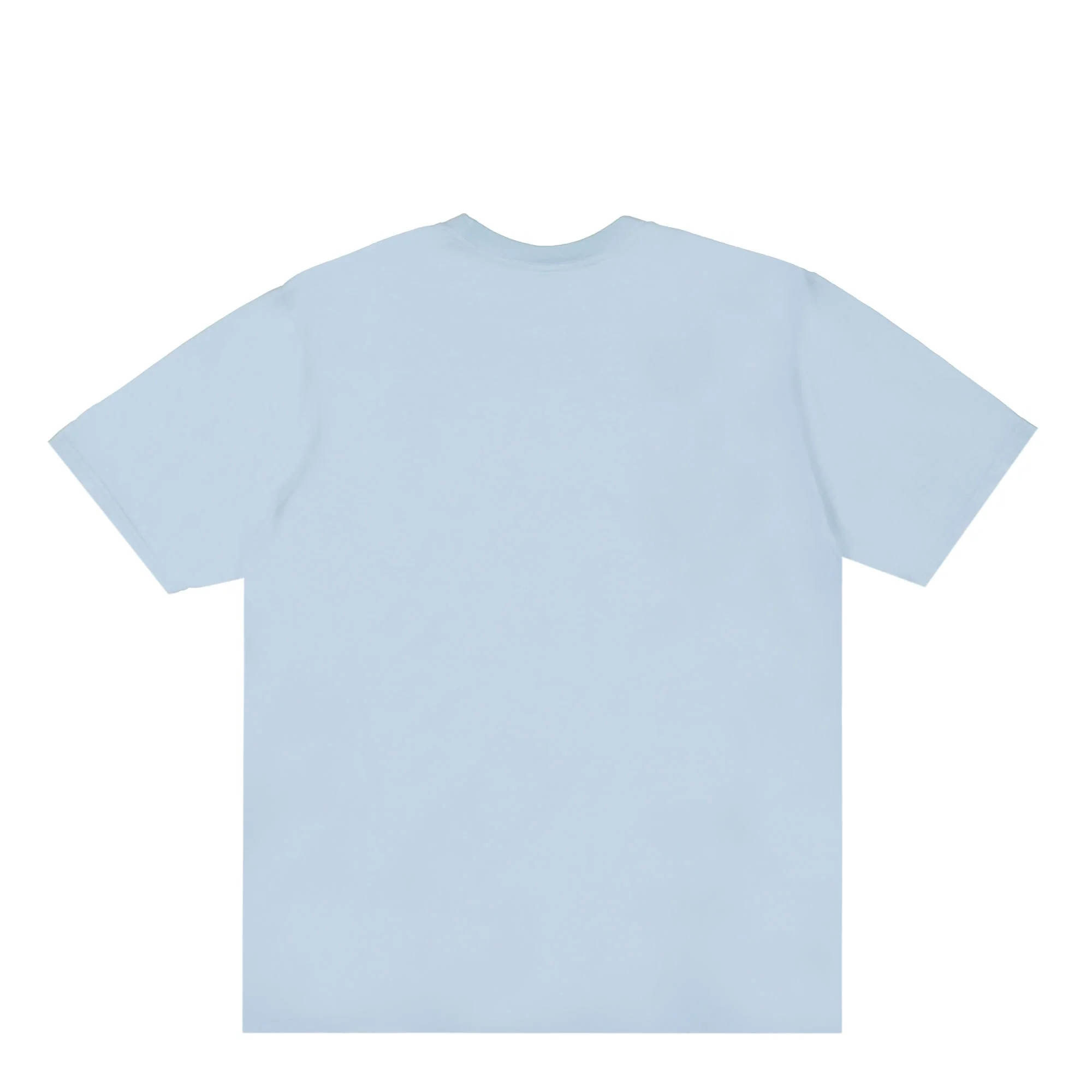Big & Meaty Pig Dyed Tee - Image 2