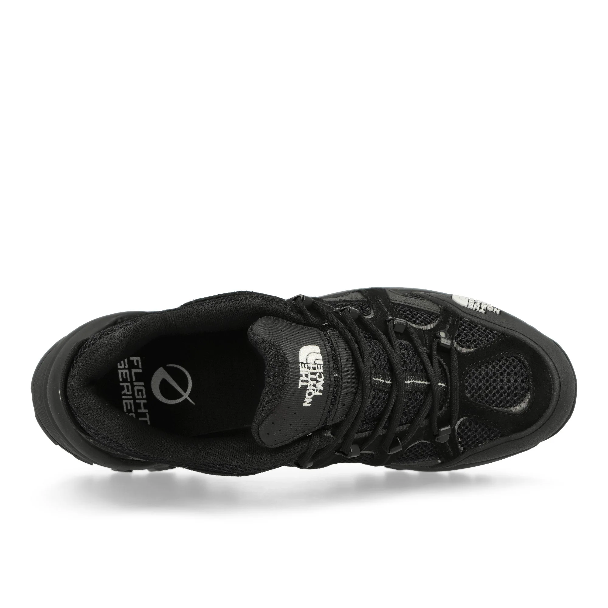 Hedgehog 06 RVST - Image 5