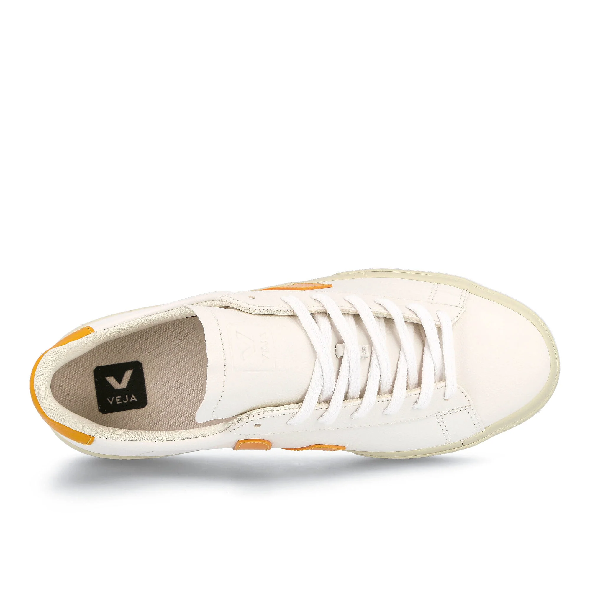 campo chromefree - Image 5