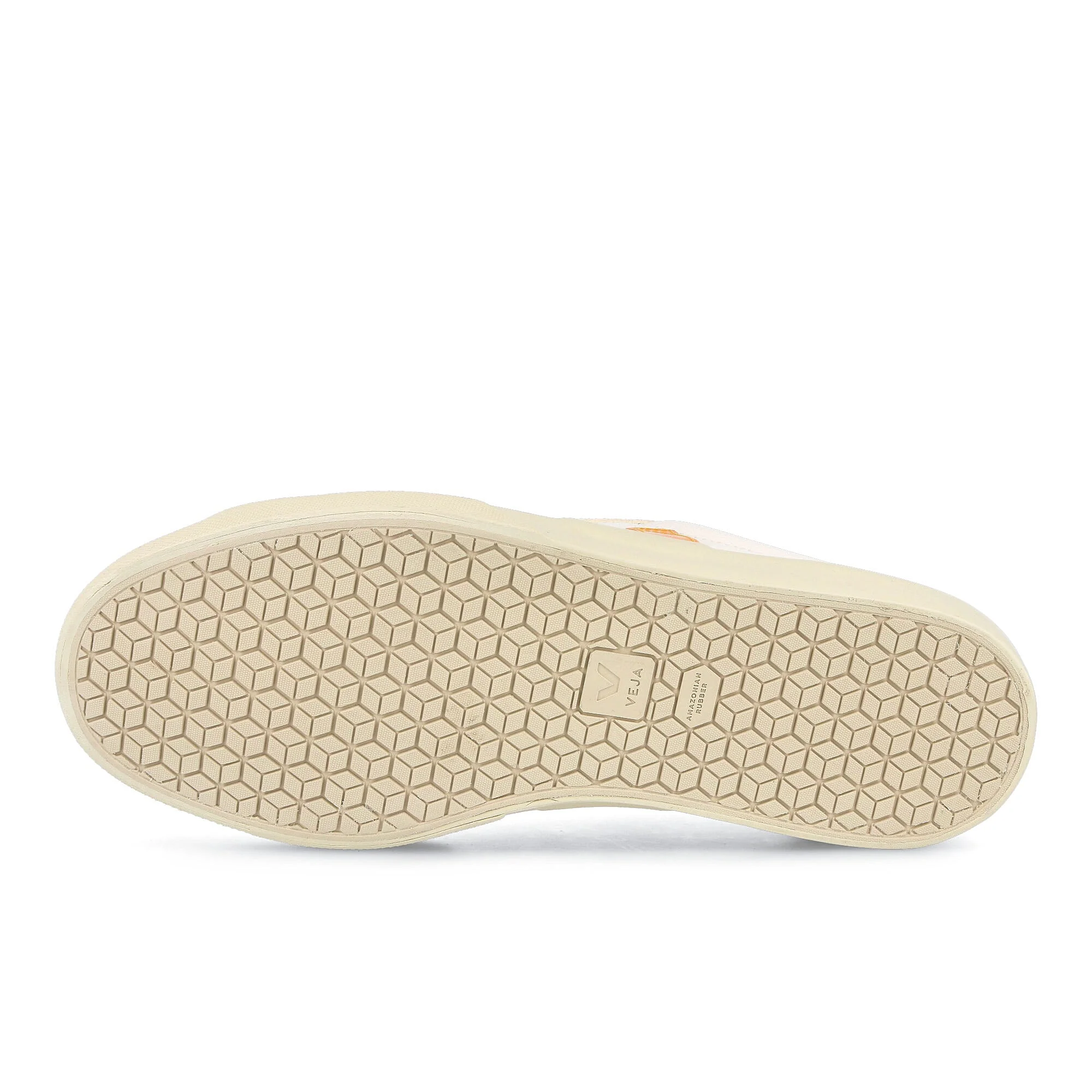campo chromefree - Image 6