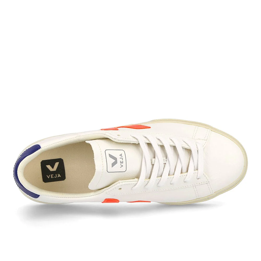campo chromefree - Image 5