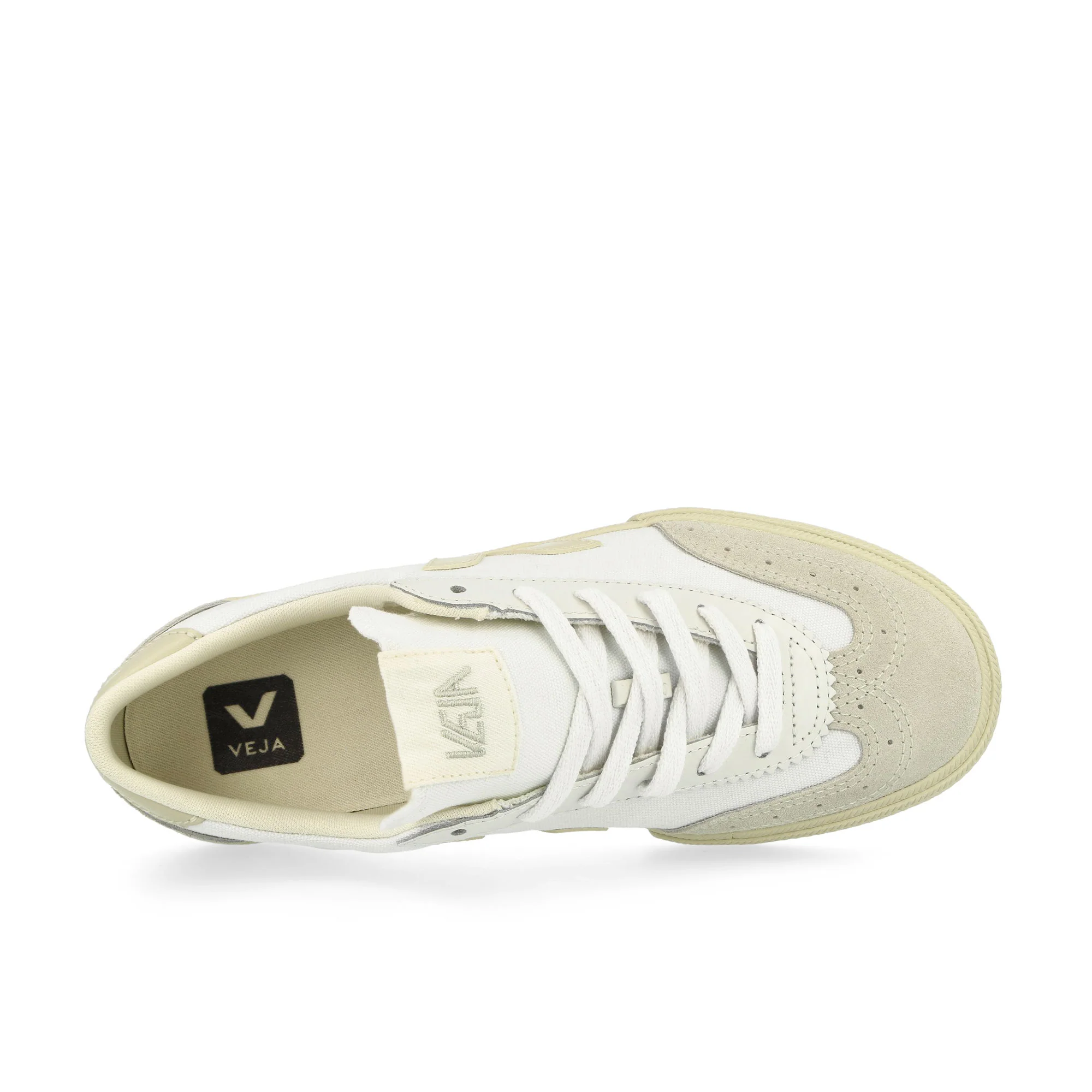 W Volley Canvas - Image 5